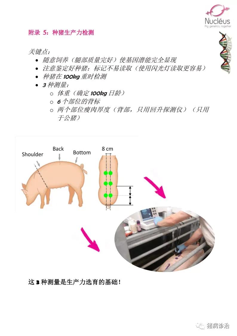 高级质感的女生头像(共24张)