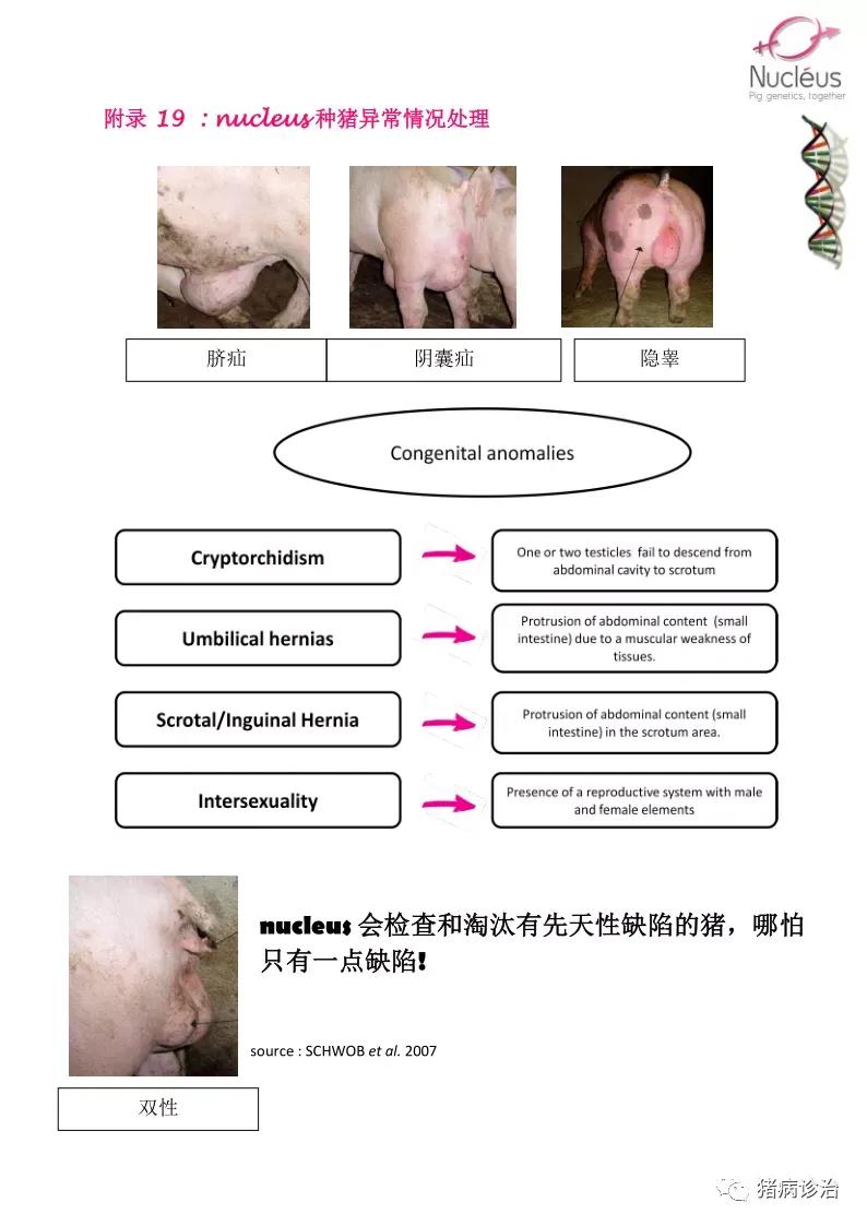 高级质感的女生头像(共24张)